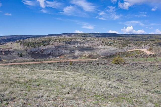 38 County Road 1901, Kremmling, CO 80459 - photo 15