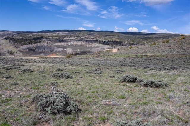 38 County Road 1901, Kremmling, CO 80459 - photo 9