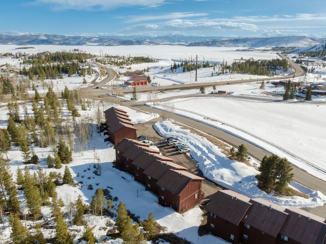 122 Gcr 442 Unit 2B, Grand Lake, CO 80447 - snowy aerial view featuring a mountain view