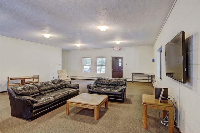 1153 Straight Creek Dr Unit 204, Dillon, CO 80435 - living room with carpet floors, a textured ceiling, and a baseboard heating unit
