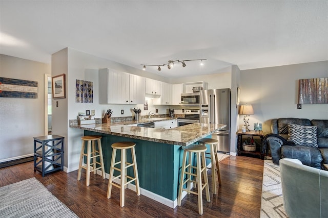 1153 Straight Creek Dr Unit 204, Dillon, CO 80435 - kitchen with stainless steel appliances, a peninsula, open floor plan, dark wood finished floors, and a sink