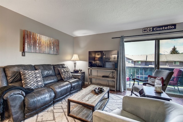 1153 Straight Creek Dr Unit 204, Dillon, CO 80435 - living area with wood finished floors and a textured ceiling