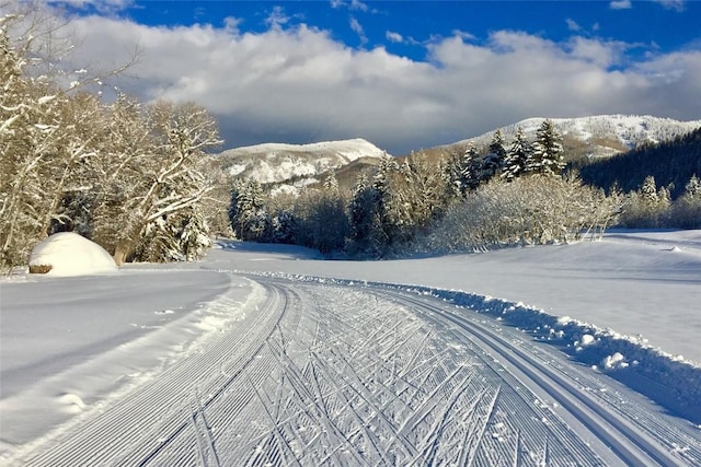 971 Steamboat Blvd, Steamboat Springs, CO 80487 - view of mountain background