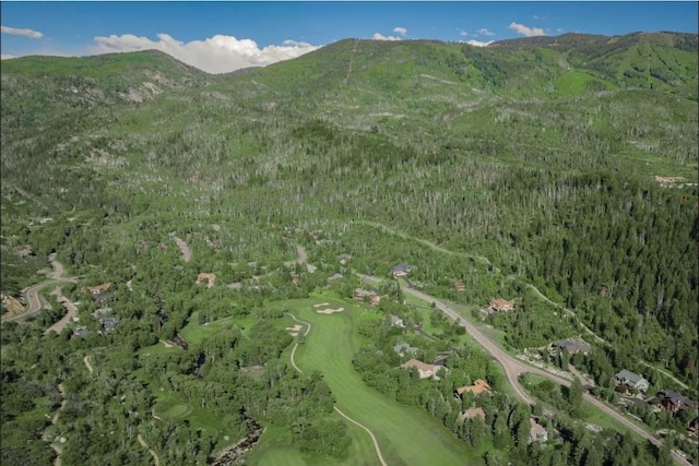 971 Steamboat Blvd, Steamboat Springs, CO 80487 - mountain view featuring a forest