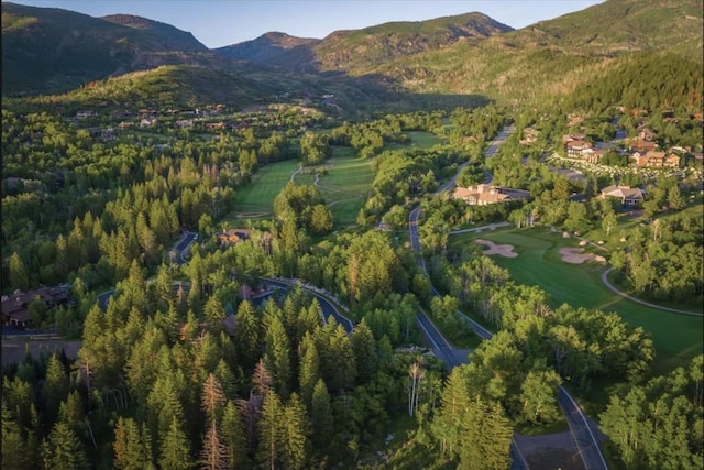 971 Steamboat Blvd, Steamboat Springs, CO 80487 - view of property location featuring mountains and a heavily wooded area