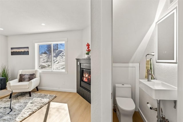 bathroom featuring a glass covered fireplace, wood finished floors, toilet, and baseboards