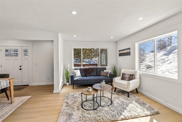 living area featuring a textured ceiling, light wood finished floors, and baseboards