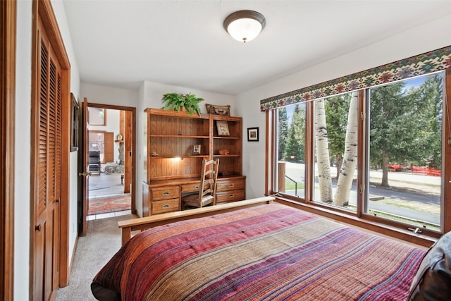 112 N Pine St, Breckenridge, CO 80424 - carpeted bedroom with a closet