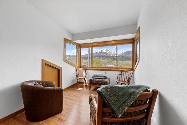 71 Barking Dog Rd, Silverthorne, CO 80498 - living area with baseboards, light wood-style flooring, and a mountain view