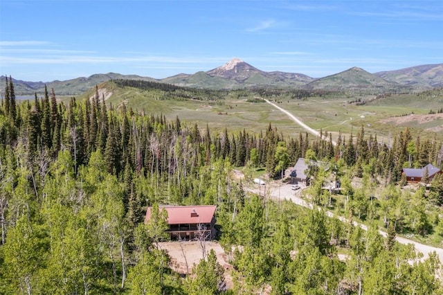 58195 Jupiter Pl, Clark, CO 80428 - drone / aerial view of a mountain backdrop