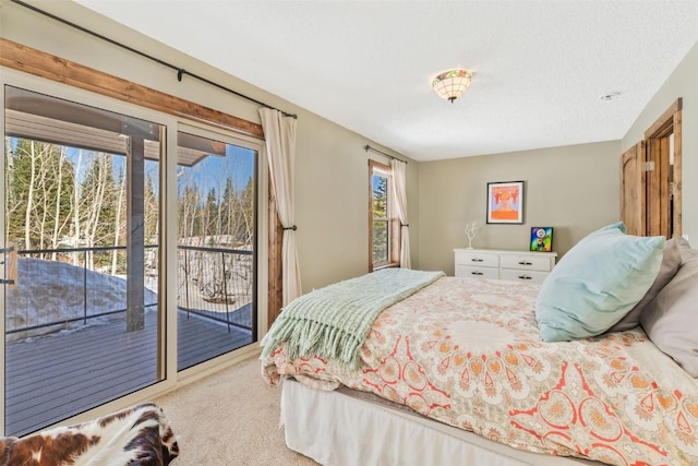 58195 Jupiter Pl, Clark, CO 80428 - bedroom featuring multiple windows, carpet flooring, and access to exterior