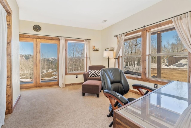 58195 Jupiter Pl, Clark, CO 80428 - carpeted office space with baseboards and a healthy amount of sunlight