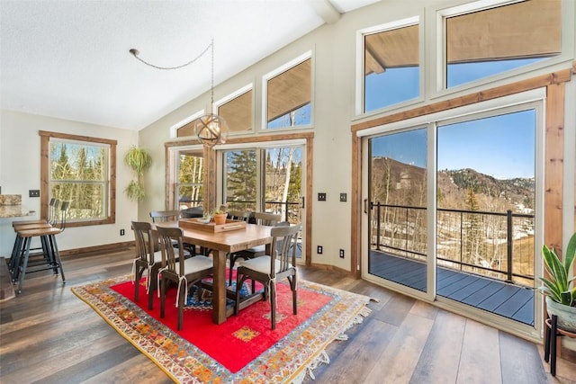 58195 Jupiter Pl, Clark, CO 80428 - dining room with baseboards, wood finished floors, and high vaulted ceiling