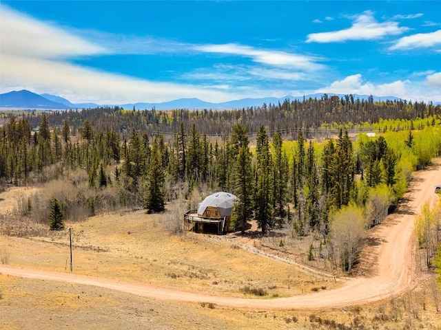 902 Hawk Way, Como, CO 80456 - mountain view with a forest