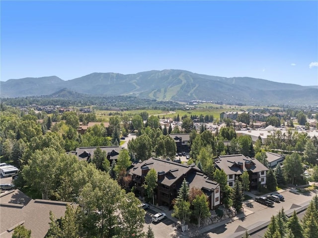 380 Ore House Plz Unit 202, Steamboat Springs, CO 80487 - photo 22