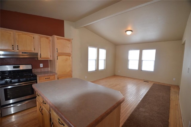 107 Bobwhite Way, Frisco, CO 80443 - photo 13
