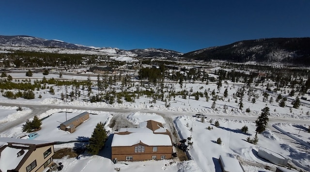 107 Bobwhite Way, Frisco, CO 80443 - photo 5