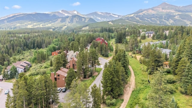 865 Four Oclock Rd Unit E1, Breckenridge, CO 80424 - photo 36