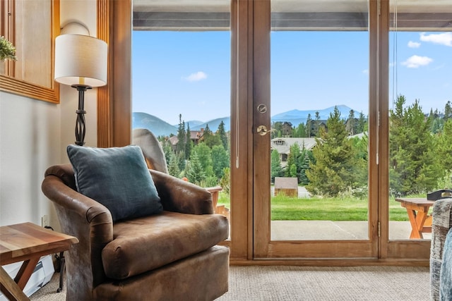 865 Four Oclock Rd Unit E1, Breckenridge, CO 80424 - photo 2