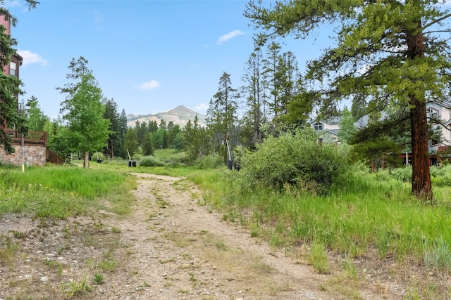 865 Four Oclock Rd Unit E1, Breckenridge, CO 80424 - photo 30