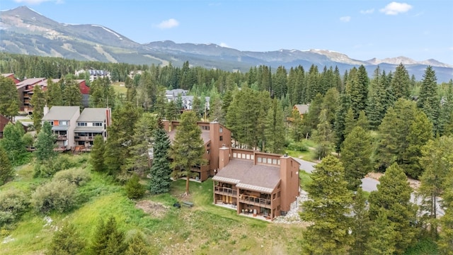 865 Four Oclock Rd Unit E1, Breckenridge, CO 80424 - photo 35