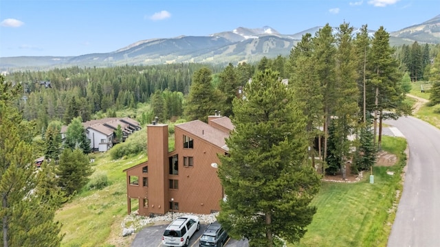 865 Four Oclock Rd Unit E1, Breckenridge, CO 80424 - photo 37