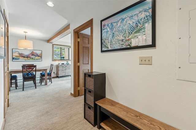 865 Four Oclock Rd Unit E1, Breckenridge, CO 80424 - photo 16