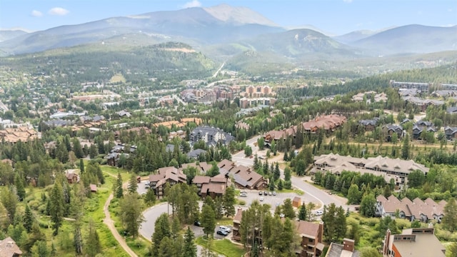 865 Four Oclock Rd Unit E1, Breckenridge, CO 80424 - photo 40