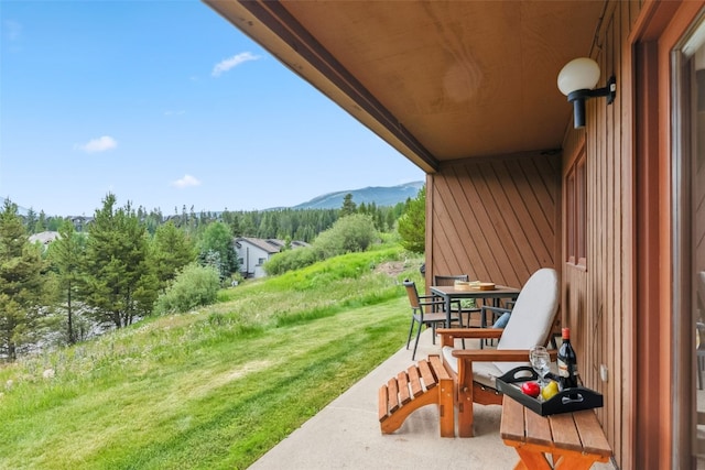 865 Four Oclock Rd Unit E1, Breckenridge, CO 80424 - photo 24