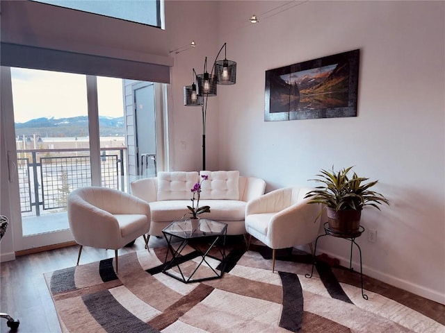 living area featuring baseboards, wood finished floors, and a mountain view