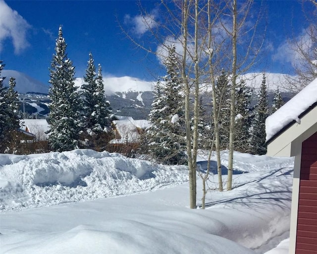 38 Huckleberry Grn, Breckenridge, CO 80424 - view of snowy yard