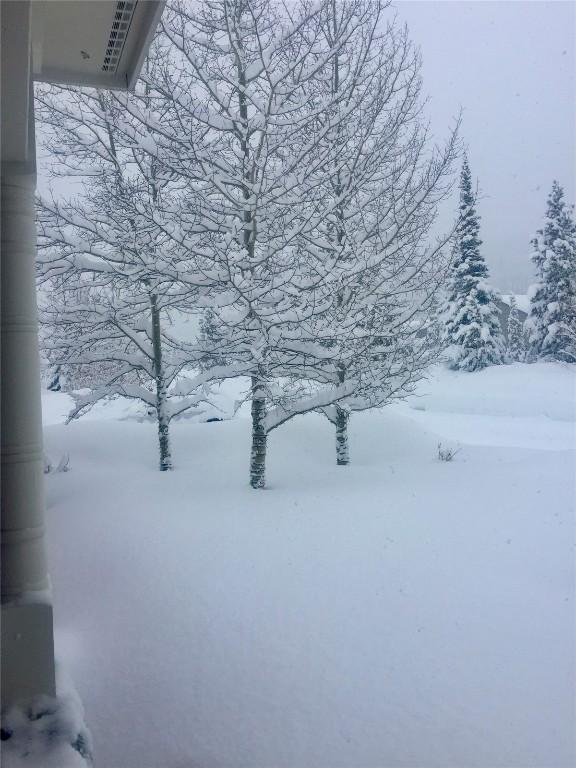 38 Huckleberry Grn, Breckenridge, CO 80424 - view of snowy yard