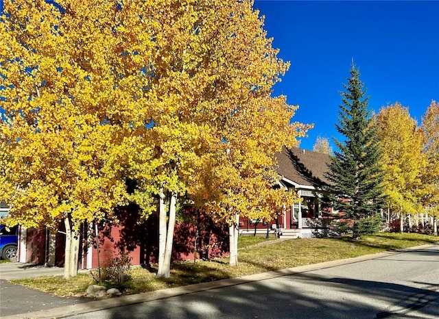 38 Huckleberry Grn, Breckenridge, CO 80424 - view of property hidden behind natural elements featuring a front lawn
