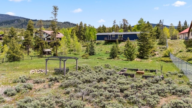 361 Lagoon Ln, Silverthorne, CO 80498 - view of yard featuring a vegetable garden and a mountain view