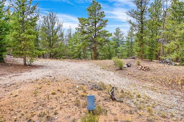 711 Willow Way, Jefferson, CO 80456 - photo 5