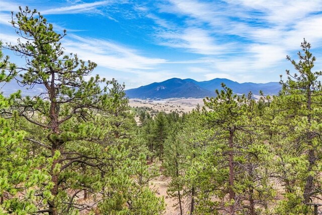 711 Willow Way, Jefferson, CO 80456 - photo 6