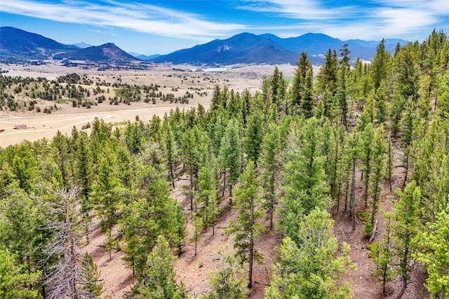 711 Willow Way, Jefferson, CO 80456 - photo 15