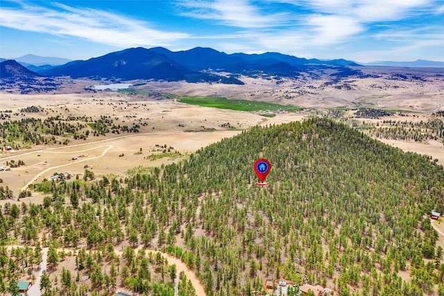 711 Willow Way, Jefferson, CO 80456 - photo 9
