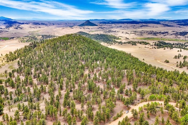 711 Willow Way, Jefferson, CO 80456 - photo 11