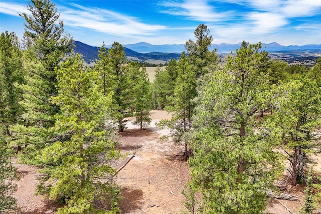 711 Willow Way, Jefferson, CO 80456 - photo 3