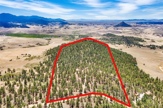 711 Willow Way, Jefferson, CO 80456 - photo 27