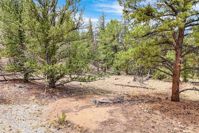 711 Willow Way, Jefferson, CO 80456 - photo 4