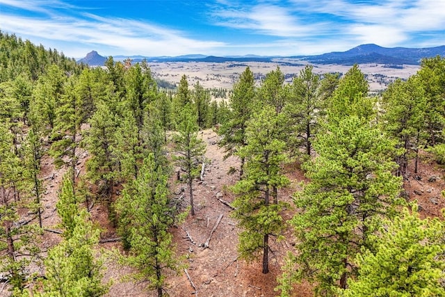 711 Willow Way, Jefferson, CO 80456 - photo 7
