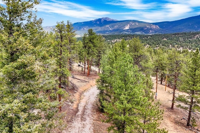 711 Willow Way, Jefferson, CO 80456 - photo 2