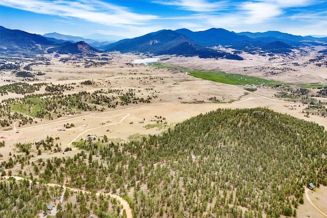 711 Willow Way, Jefferson, CO 80456 - photo 21