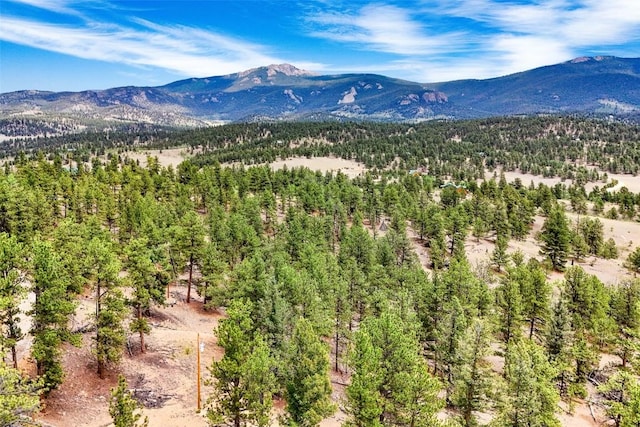 711 Willow Way, Jefferson, CO 80456 - photo 16