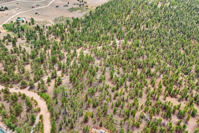 711 Willow Way, Jefferson, CO 80456 - photo 23