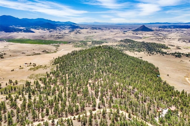 711 Willow Way, Jefferson, CO 80456 - photo 26
