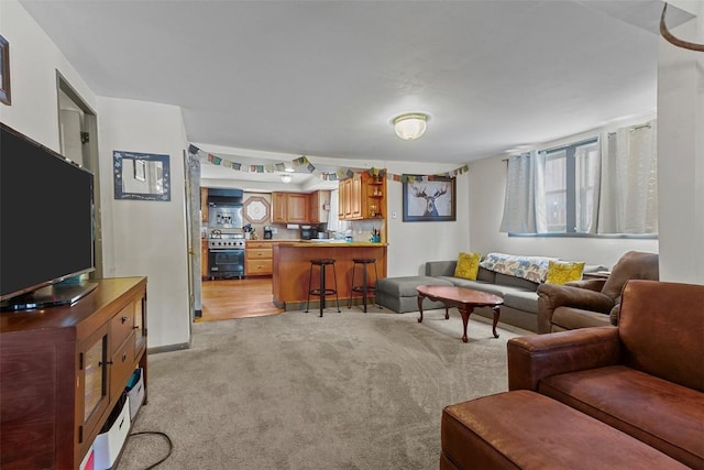 110 S Harris St, Breckenridge, CO 80424 - living area with baseboards and light carpet