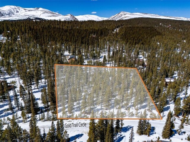 440 Gold Trail Cir, Fairplay, CO 80440 - photo 27